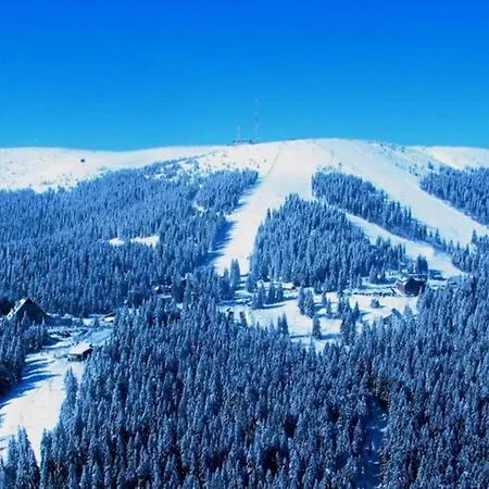 Domcek Pod Orechom *