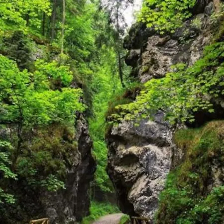 Дом отдыха Domcek Pod Orechom Blatnica