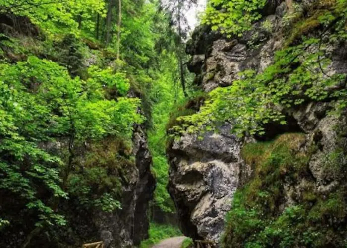 Dovolenkový dom Domcek Pod Orechom Blatnica
